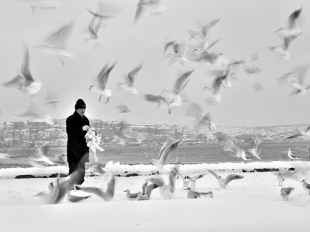 Photograph by Bekir Yesiltas