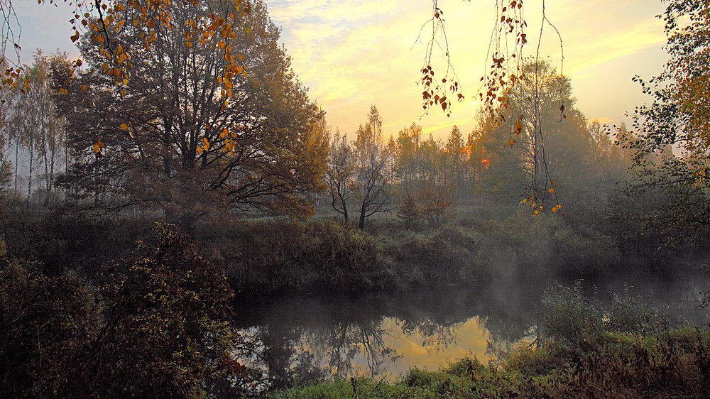 Осеннее утро