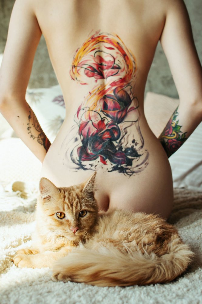 Фотография автора Алексей Чепик