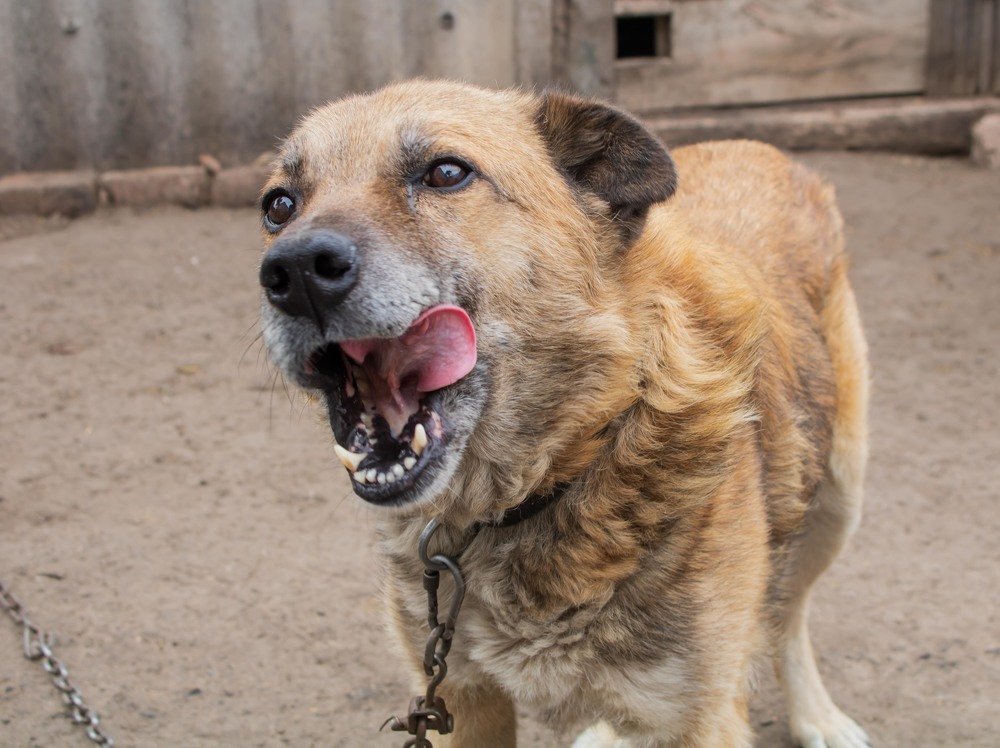 Photograph by Михаил Чмир