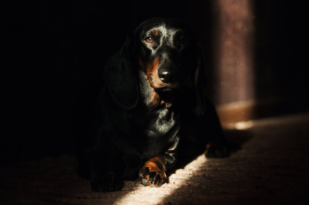 Photograph by Дарья Ералева