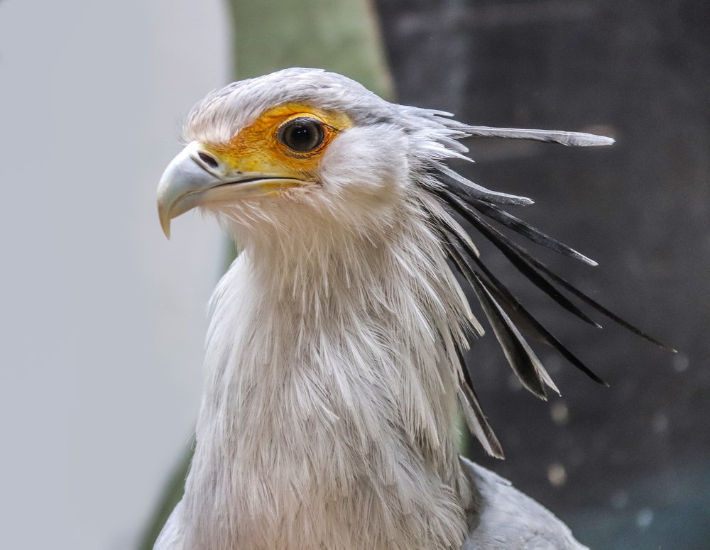 Photograph by Лариса Рулёва