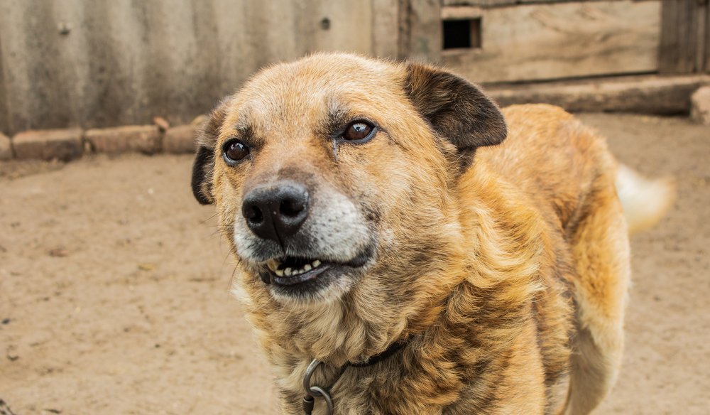 Photograph by Михаил Чмир