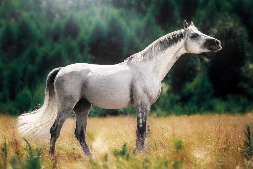 Photograph by Дарья Ералева