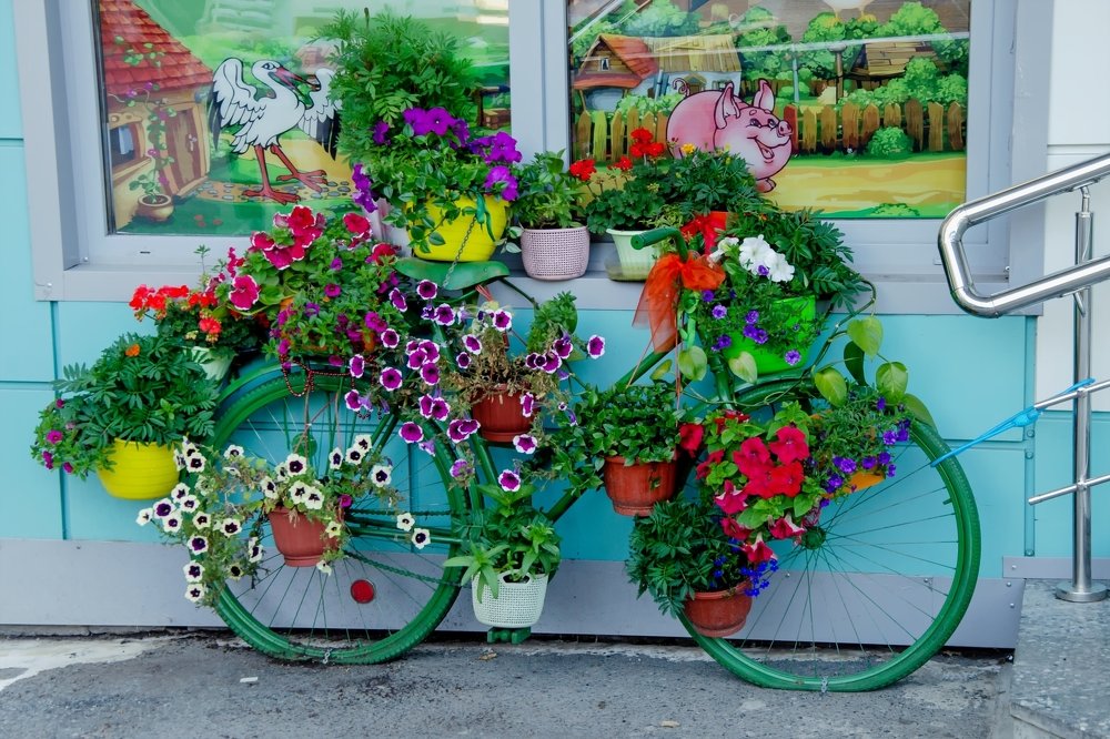 Ловушка взгляда