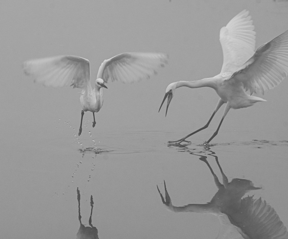 Photograph by Suman Paul