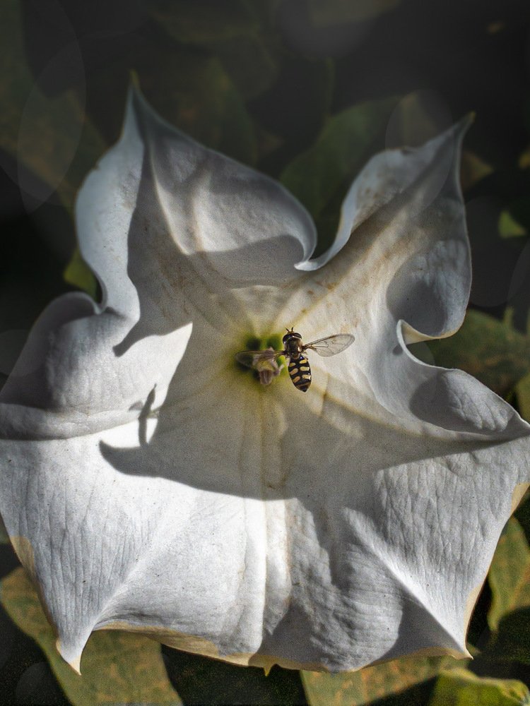 Осень южной России