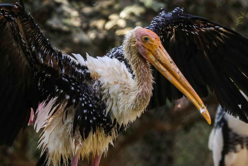 Photograph by Shubham Singh