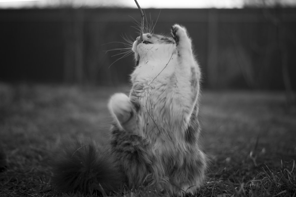 Photograph by Анна Берзина