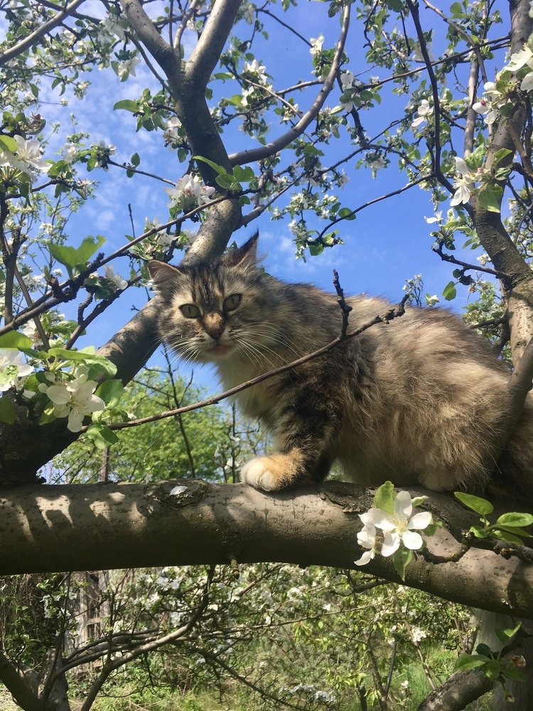 Photograph by Anna Krasova