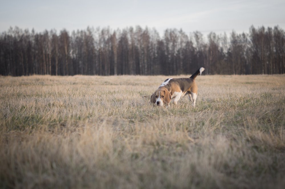 Photograph by Анна Берзина