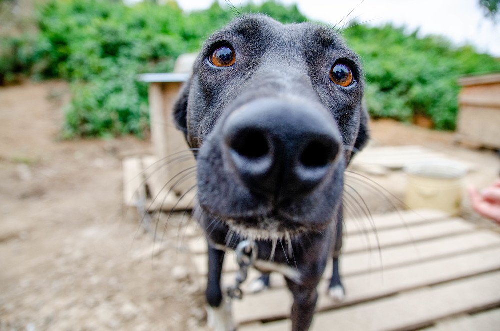 Photograph by Олег Смирнов