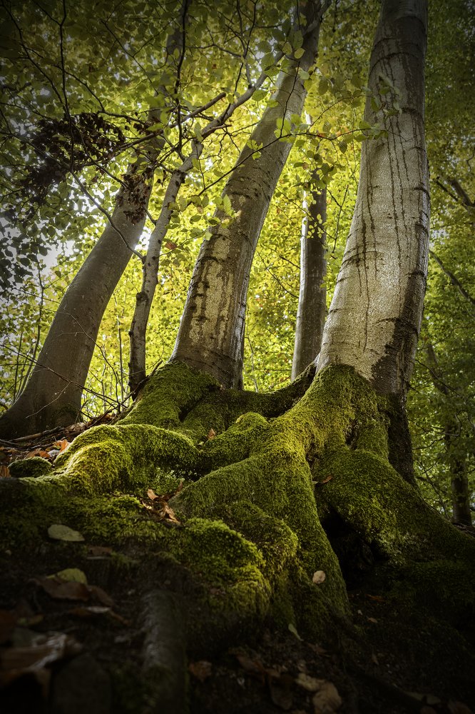 Photograph by Sylwia Ratajczyk