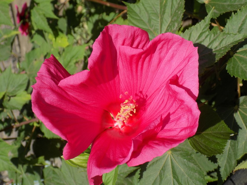 Фотография автора Станислав Рушкис