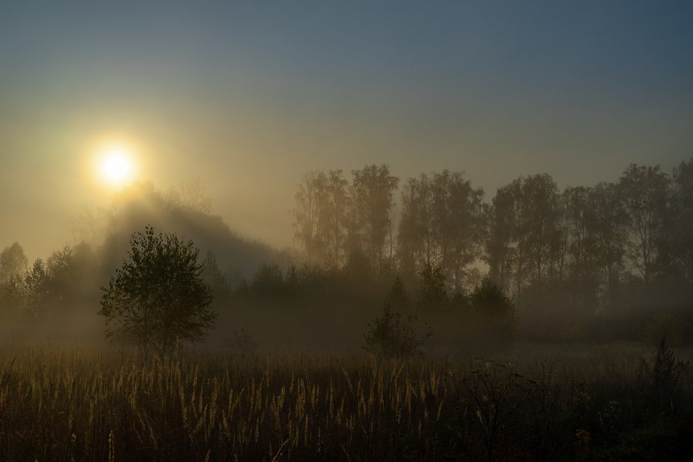 Туманный  рассвет