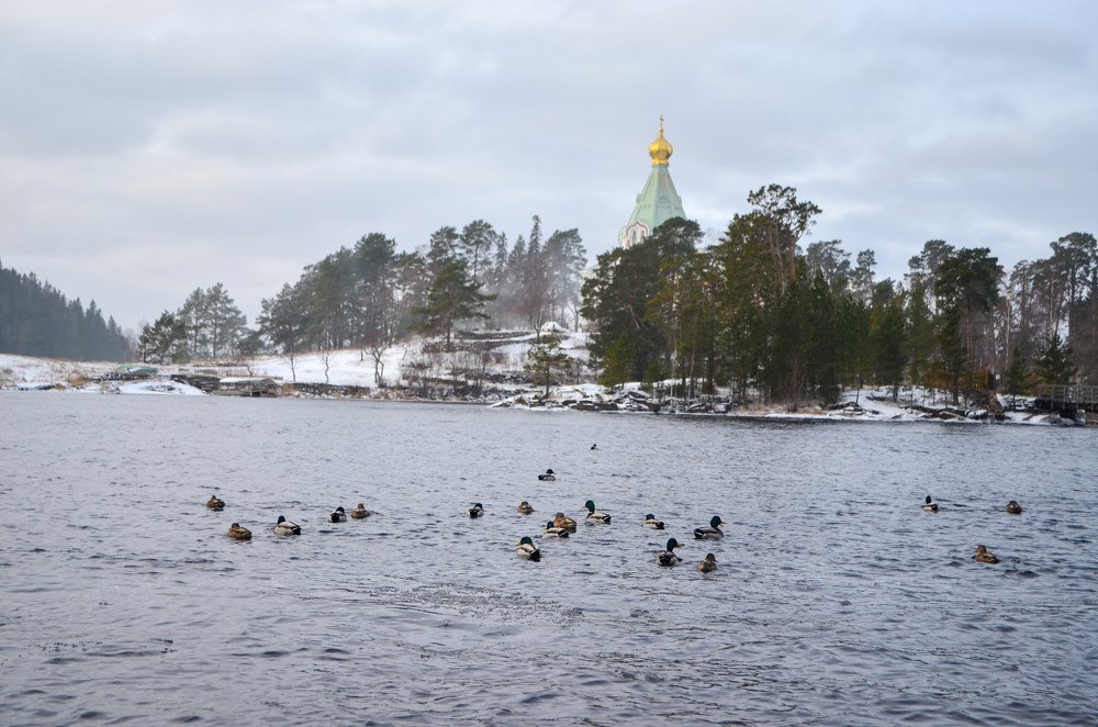 Photograph by Анна Гекк