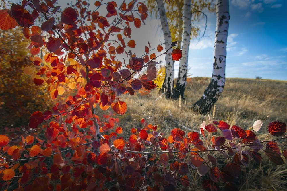 Photograph by петр чиков