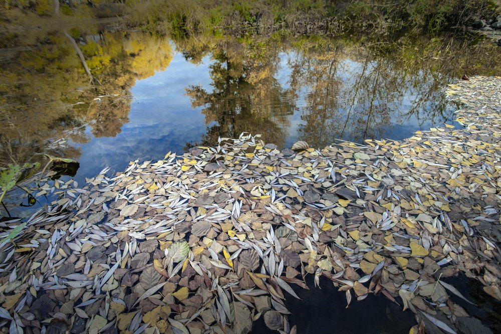 Photograph by петр чиков