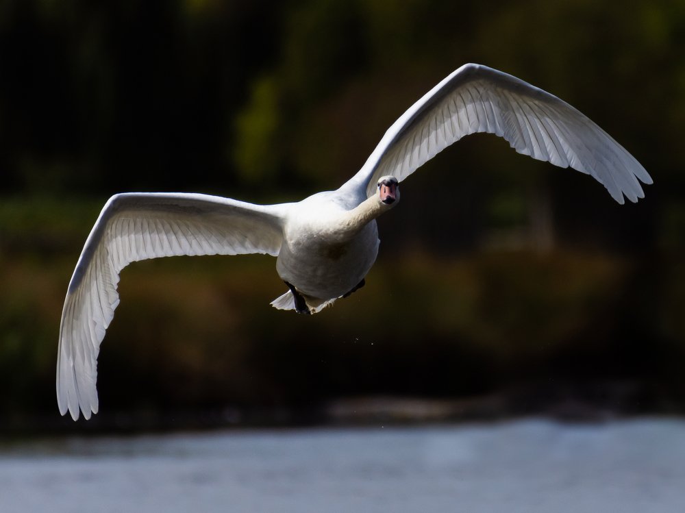 Фотография автора Anandhu M