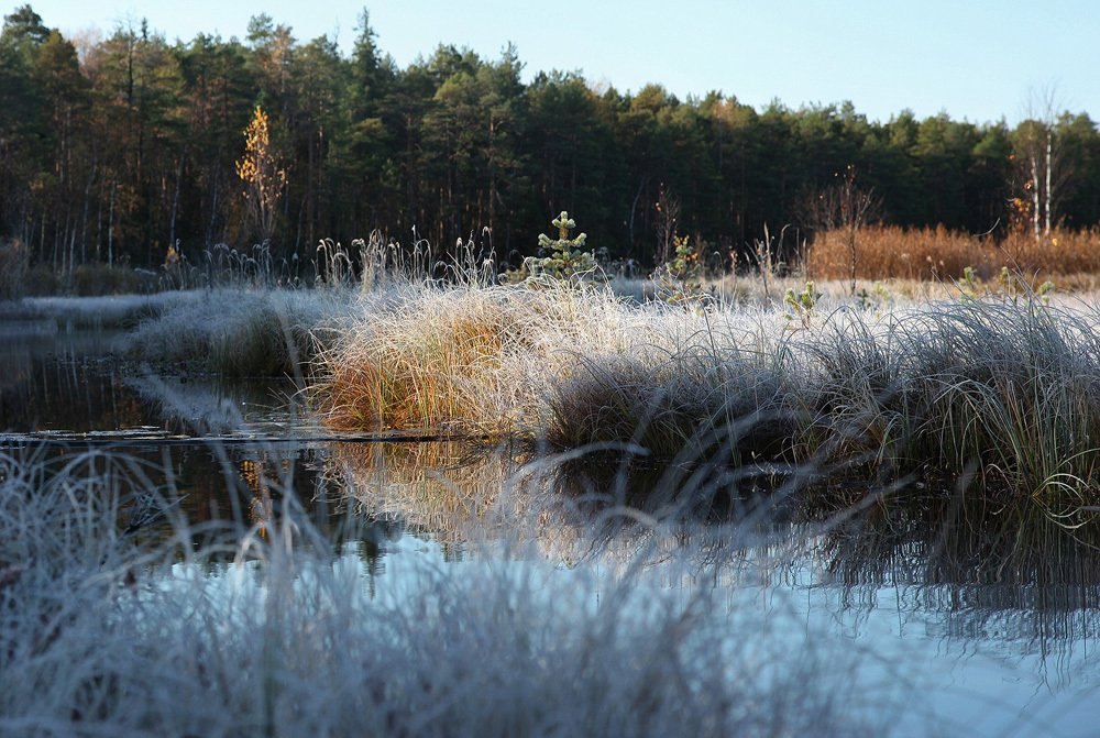 Первый иней