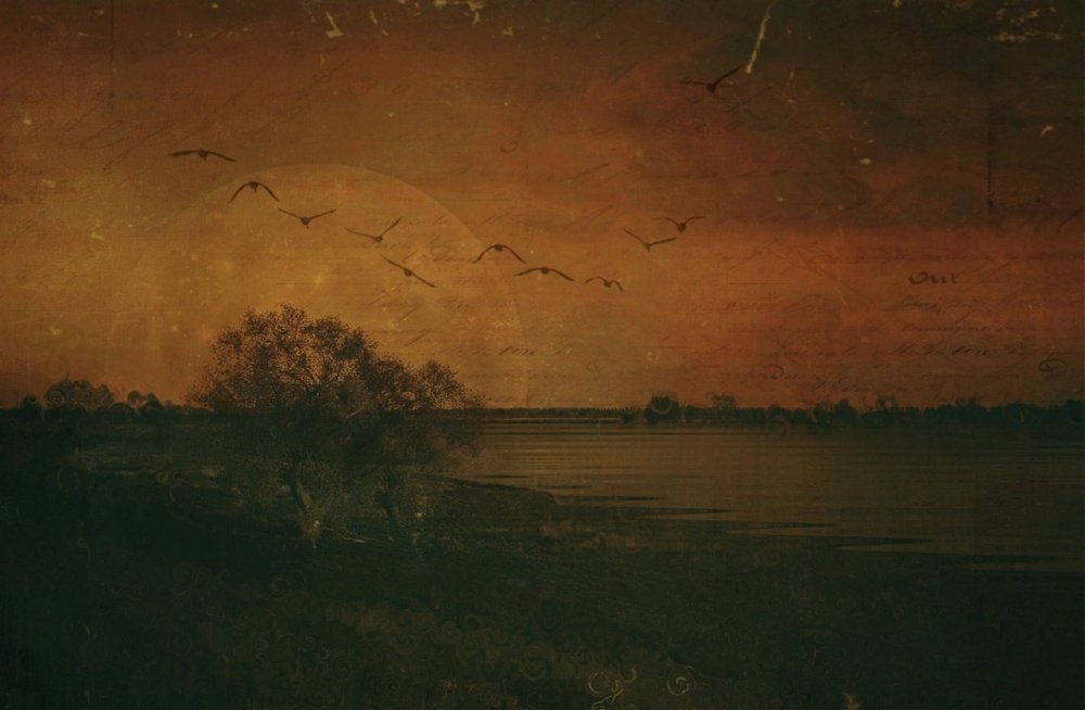 Forgetting the past looking at presen