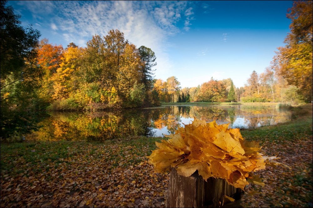 Река Славянка в Павловском парке