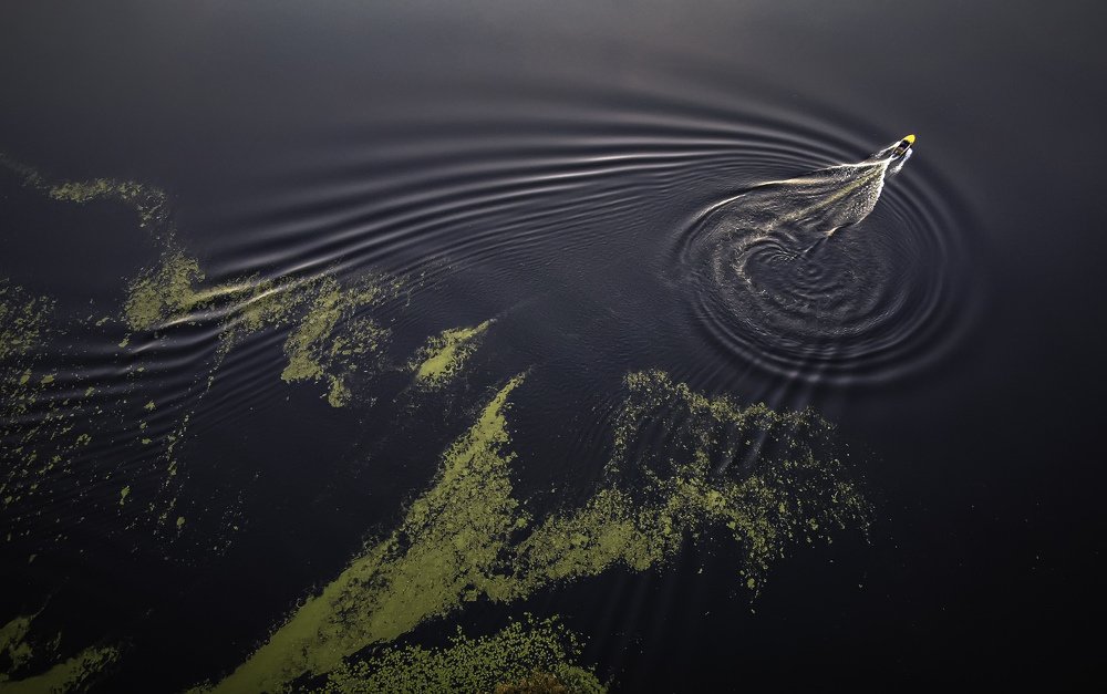 Фотография автора Дмитрий Тимошин