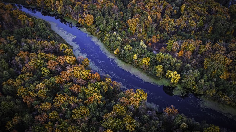Фотография автора Дмитрий Тимошин