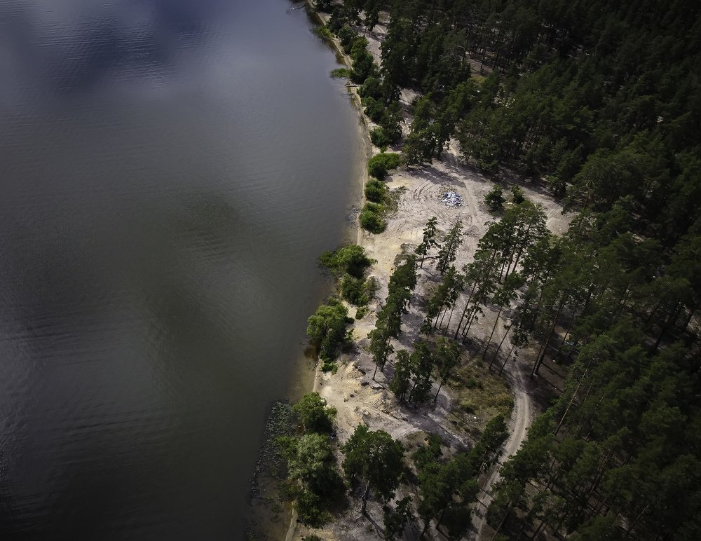 Фотография автора Дмитрий Тимошин