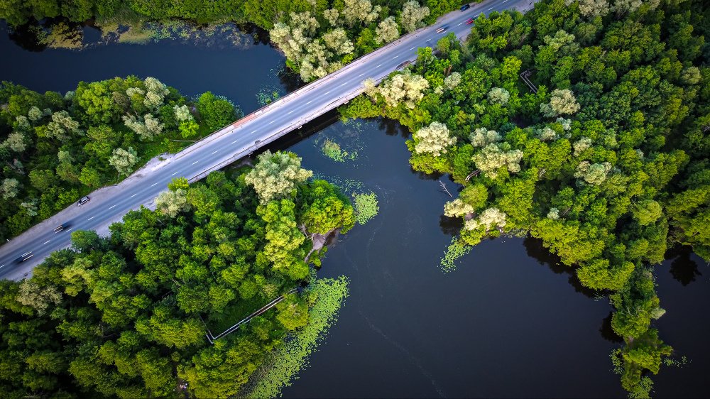 Фотография автора Дмитрий Тимошин