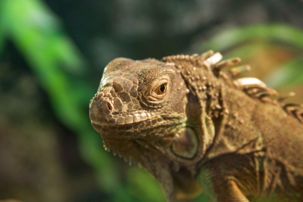 Photograph by Мария Самоловова