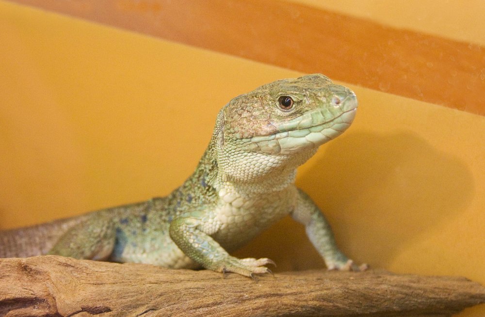 Photograph by Мария Самоловова