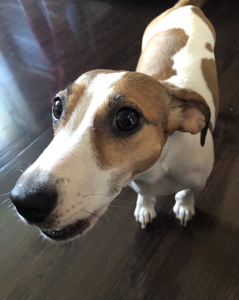 Photograph by людмила жукова