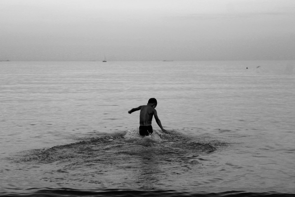 Photo #5031596