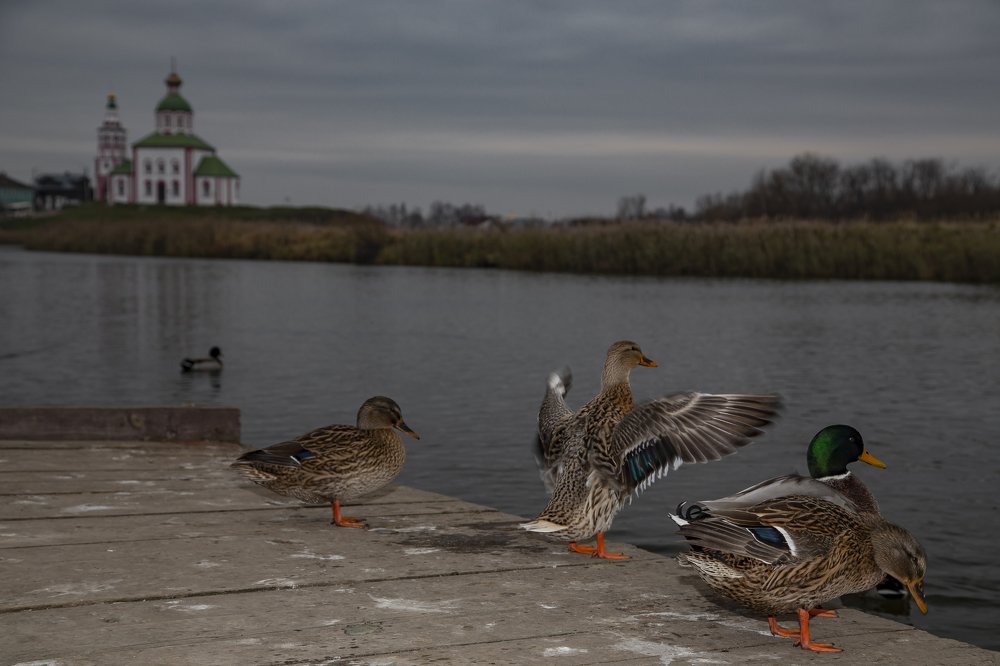 Photograph by Андрей Ларин