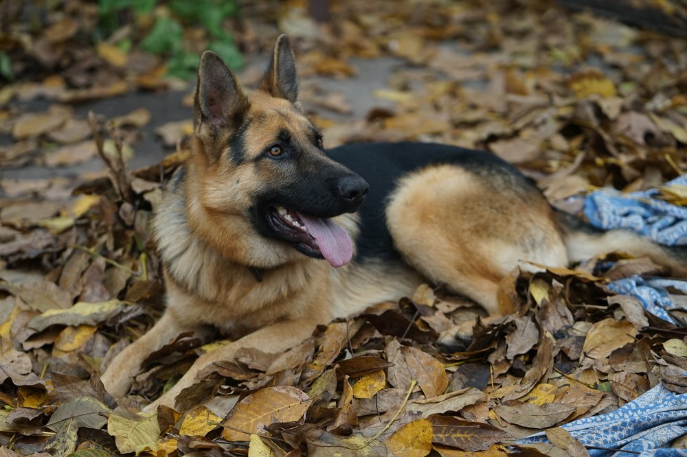 Photograph by ольга