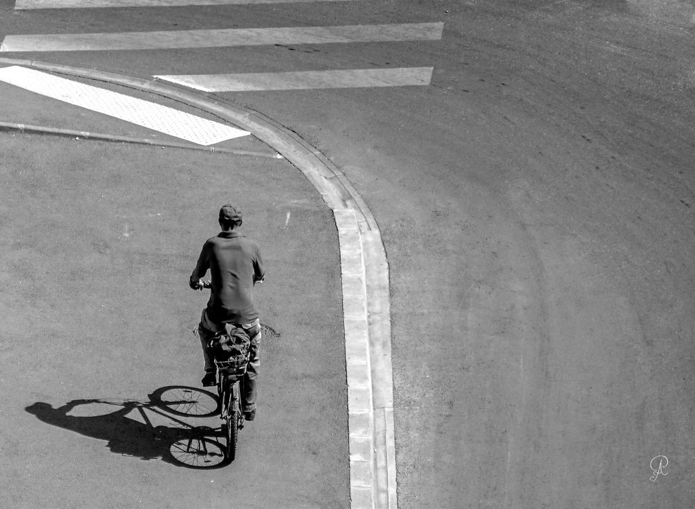 Photograph by POPOVICI ADRIANA