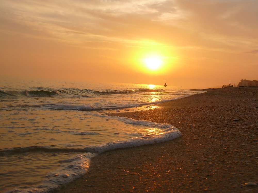 Photograph by 