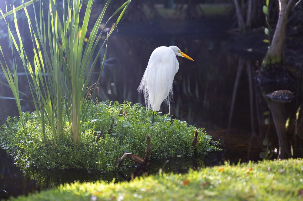 Photograph by Karen Khachaturyants