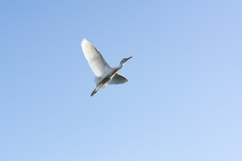 Photograph by Karen Khachaturyants