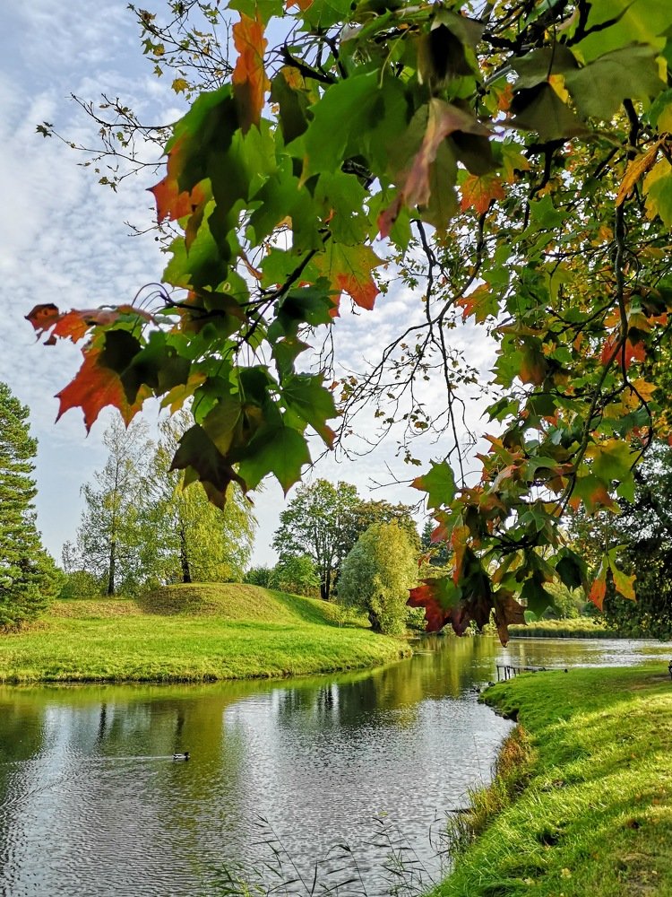 Photograph by ТАТЬЯНА КОНРАДИ