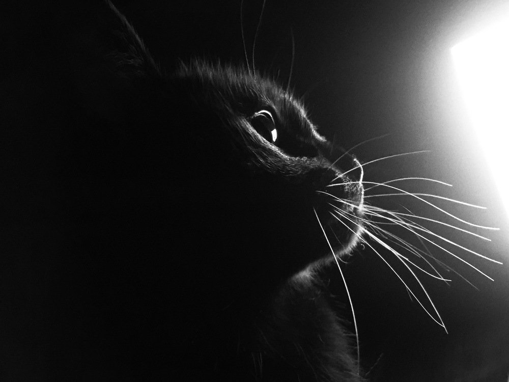 Фотография автора Oксана