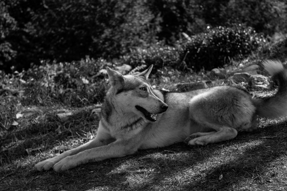 Фотография автора Дина Буланова