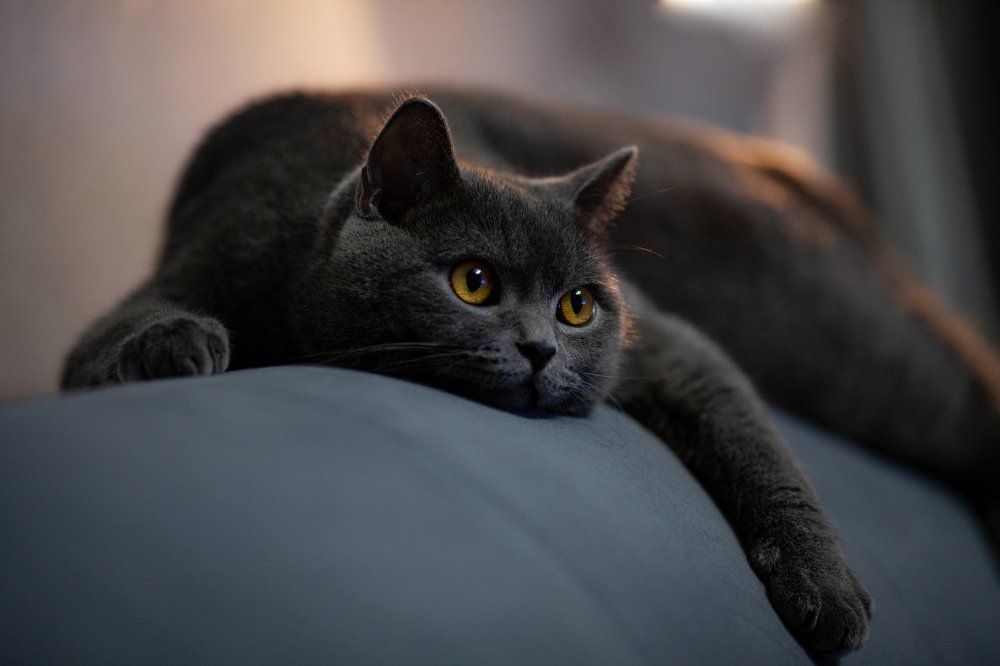 Photograph by Dmitriy