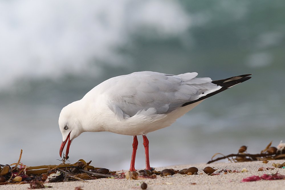 Что тут вкусненького?