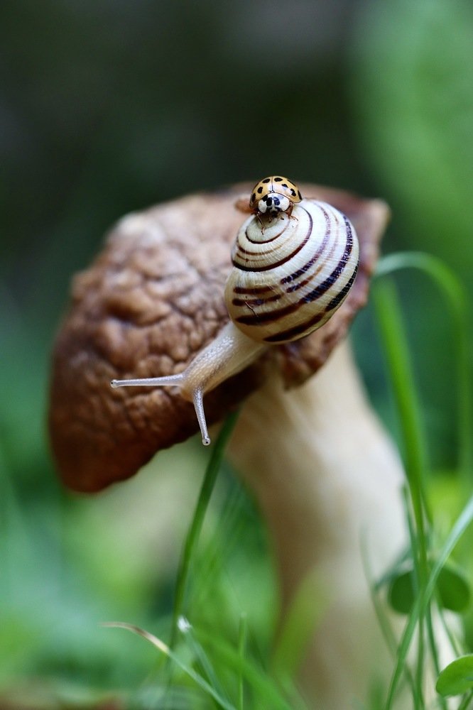 Photograph by Малика Маткарим