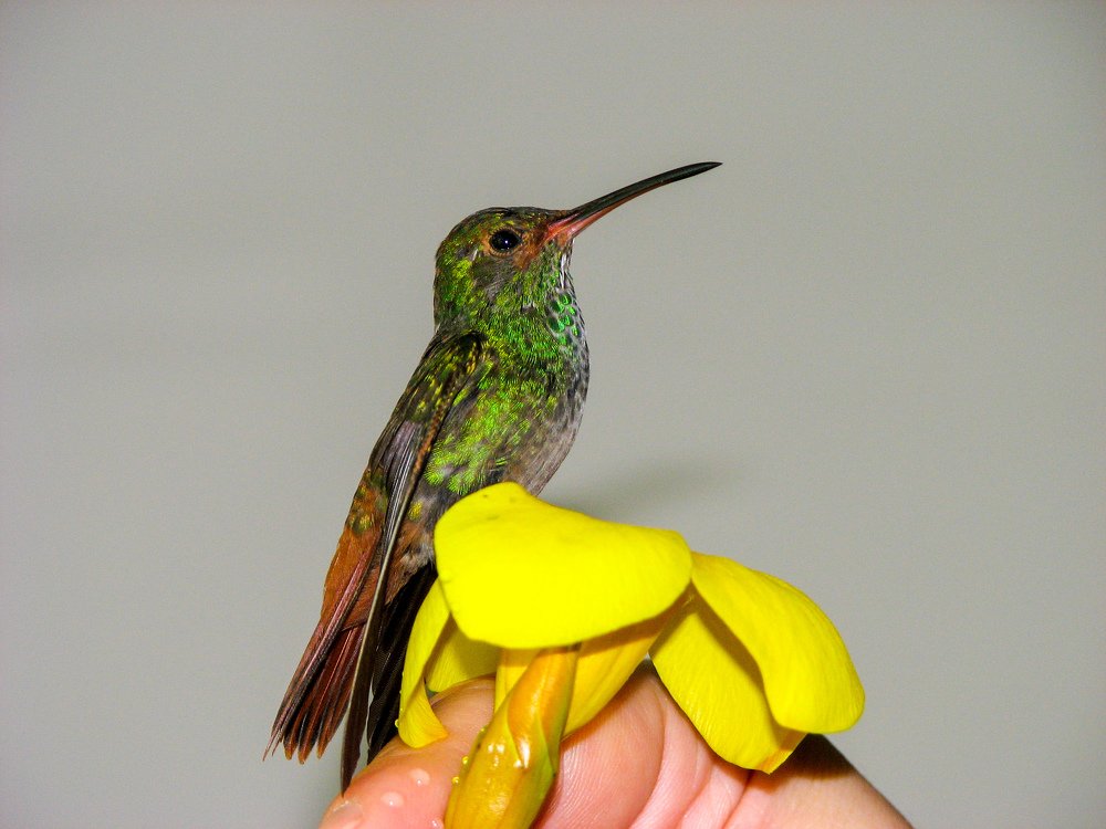 Фотография автора Виталий Зейфер