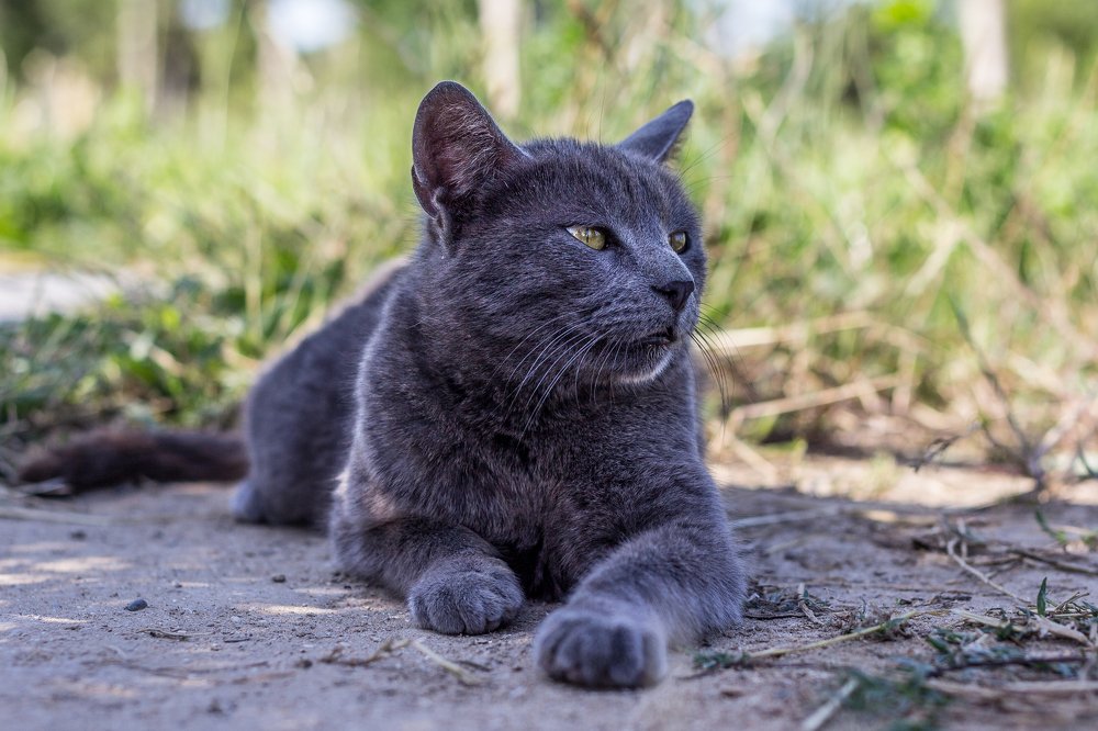 Photograph by Александр Фирстов