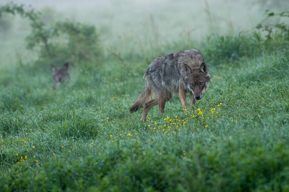 Photograph by Dariusz Dryl