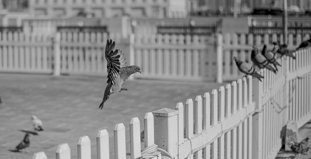 Photograph by deepesh Kuniyil